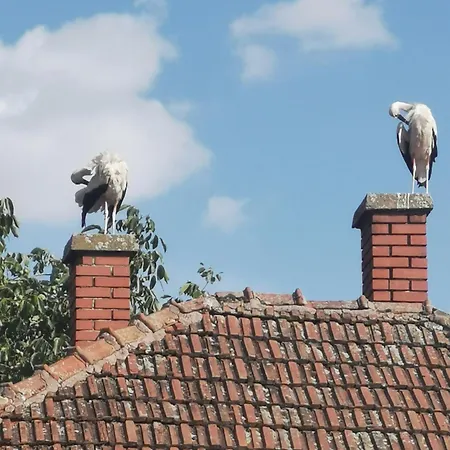 Kelepelo Porta * Poroszló