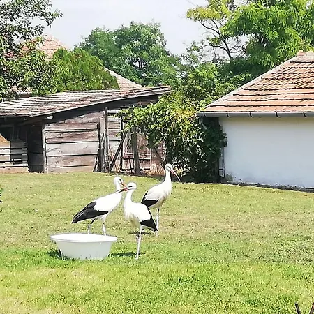 Kelepelo Porta Poroszlo